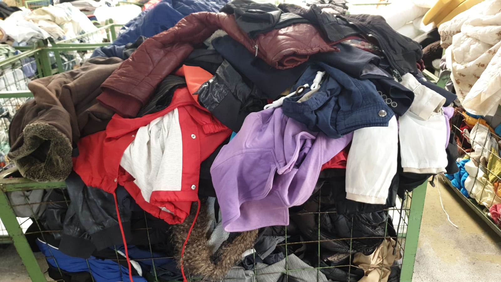 WhatsApp Image 2021-01-29 at 4.24.52 PM-min